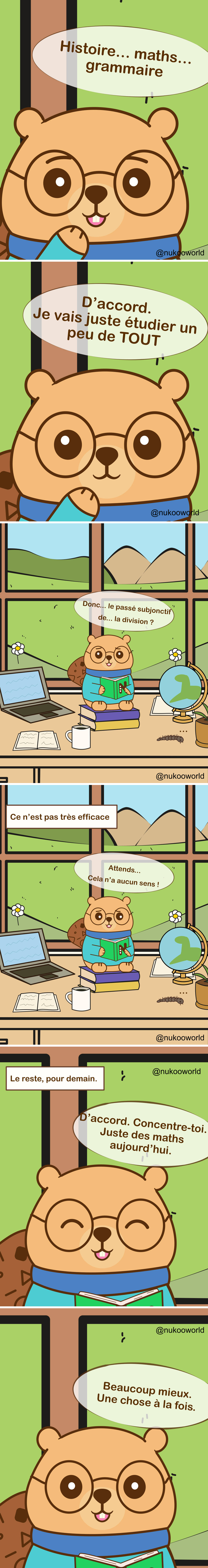 Une bande dessinée éducative verticale mettant en scène Nukoo, un petit castor portant des lunettes rondes et un pull bleu sarcelle, en train d’étudier dans une pièce lumineuse avec une grande fenêtre donnant sur des collines et des montagnes.
Case 1 : Gros plan sur Nukoo réfléchissant à différentes matières scolaires. Sa bulle indique « Histoire… maths… grammaire ».
Case 2 : Nukoo décide avec enthousiasme « D’accord. Je vais juste étudier un peu de TOUT ».
Case 3 : Nukoo est assis sur une pile de livres à son bureau avec un ordinateur portable, un carnet ouvert, une tasse de café et un globe. À l’extérieur de la fenêtre se trouvent des fleurs et des collines vertes. En regardant son livre avec confusion, il dit « Donc… le subjonctif passé de… la division ? », montrant que les matières se mélangent dans sa tête.
Case 4 : Une légende indique « Ce n’est pas très efficace. » Nukoo a l’air perplexe et dit « Attends… Ça n’a aucun sens ! »
Case 5 : Nukoo décide de changer de stratégie. Une légende indique « Le reste, pour demain. » Nukoo sourit et dit « D’accord. Concentration. Juste les maths aujourd’hui. »
Case 6 : Nukoo lit calmement avec une expression satisfaite et dit « Beaucoup mieux. Une chose à la fois. »
La bande dessinée illustre un principe d’apprentissage : essayer d’étudier plusieurs matières en même temps peut créer de la confusion, alors que se concentrer sur un seul sujet à la fois améliore la concentration et la compréhension.